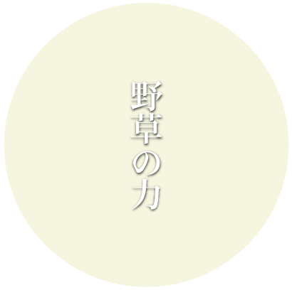 Image is not available