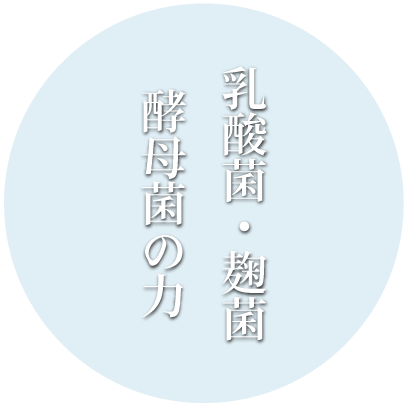 Image is not available